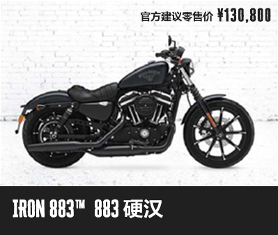 IRON 883™ 883硬汉